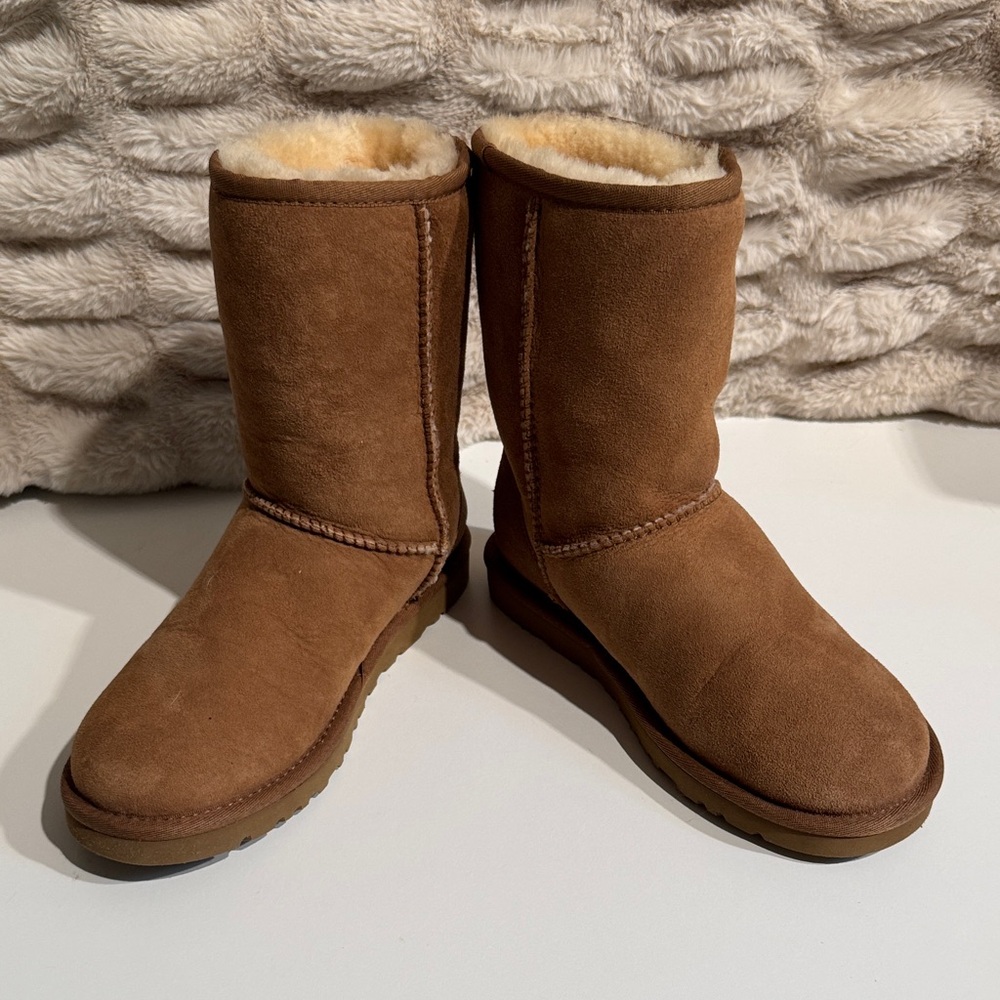 Ugg chestnut  Brown Shearling-Lined Boots
